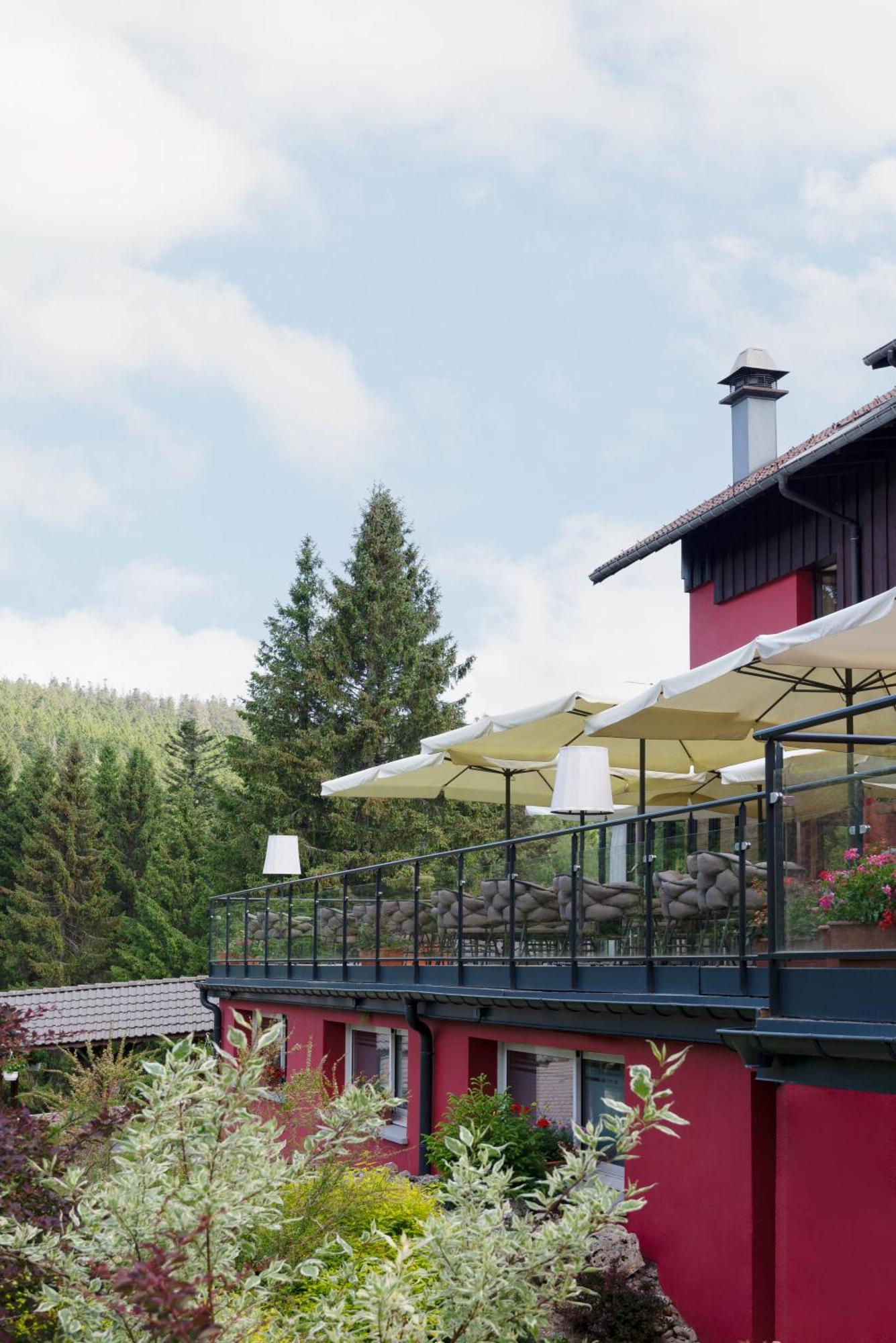Hotel Restaurant Spa Les Jardins De Sophie Xonrupt-Longemer Εξωτερικό φωτογραφία